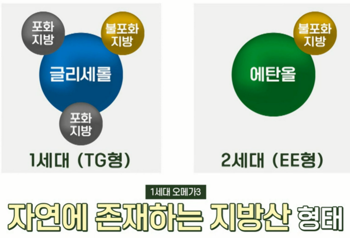 알티지 오메가3