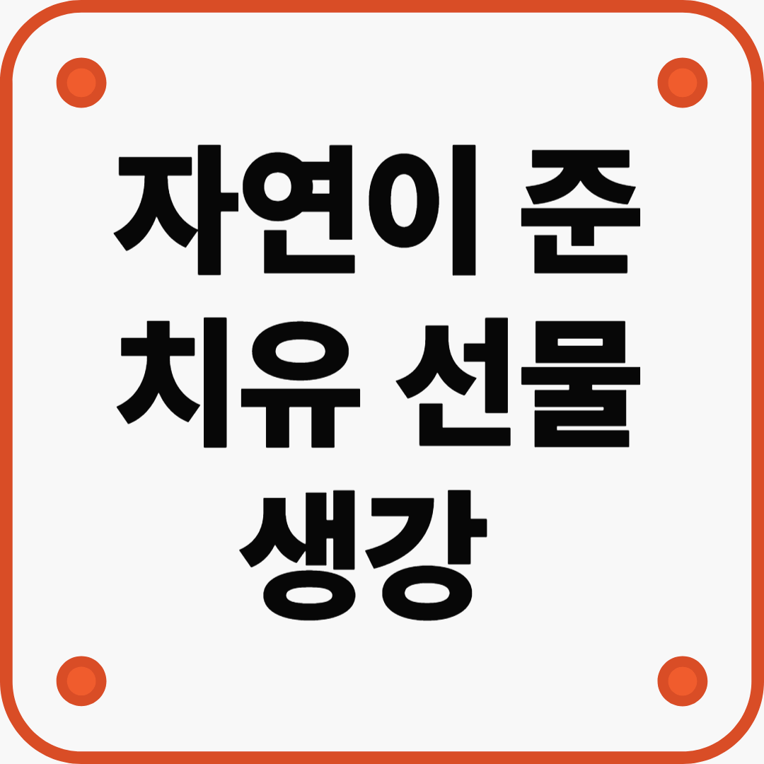 염증 완화와 면역 회복에 탁월한 생강의 힘