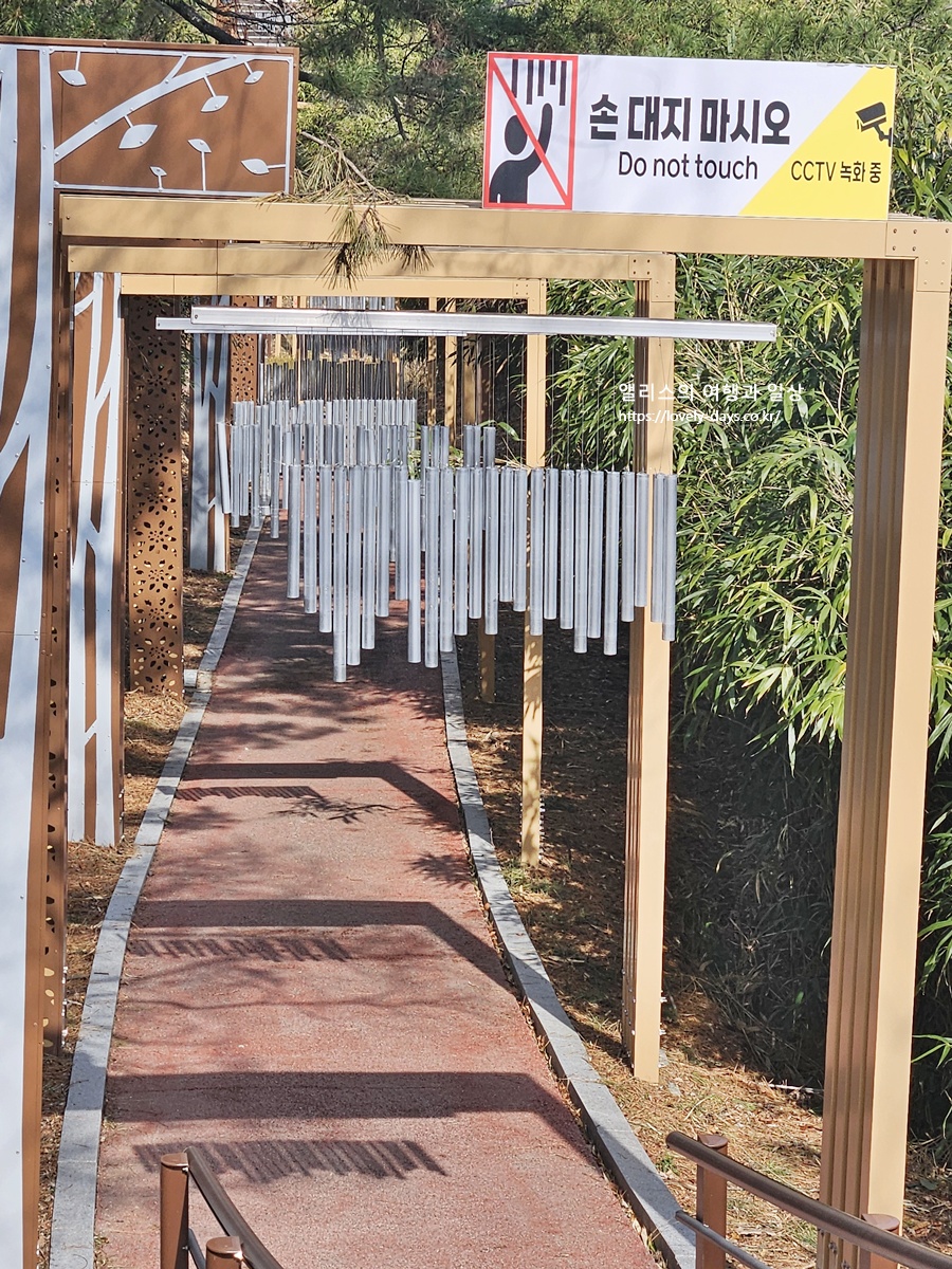 왕피천 케이블카 예약 가격 환급방법 탑승 후기 산책길 가볼만한곳