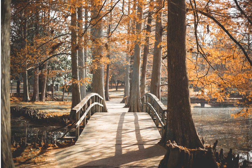 아기자기한 골목길과 카페거리