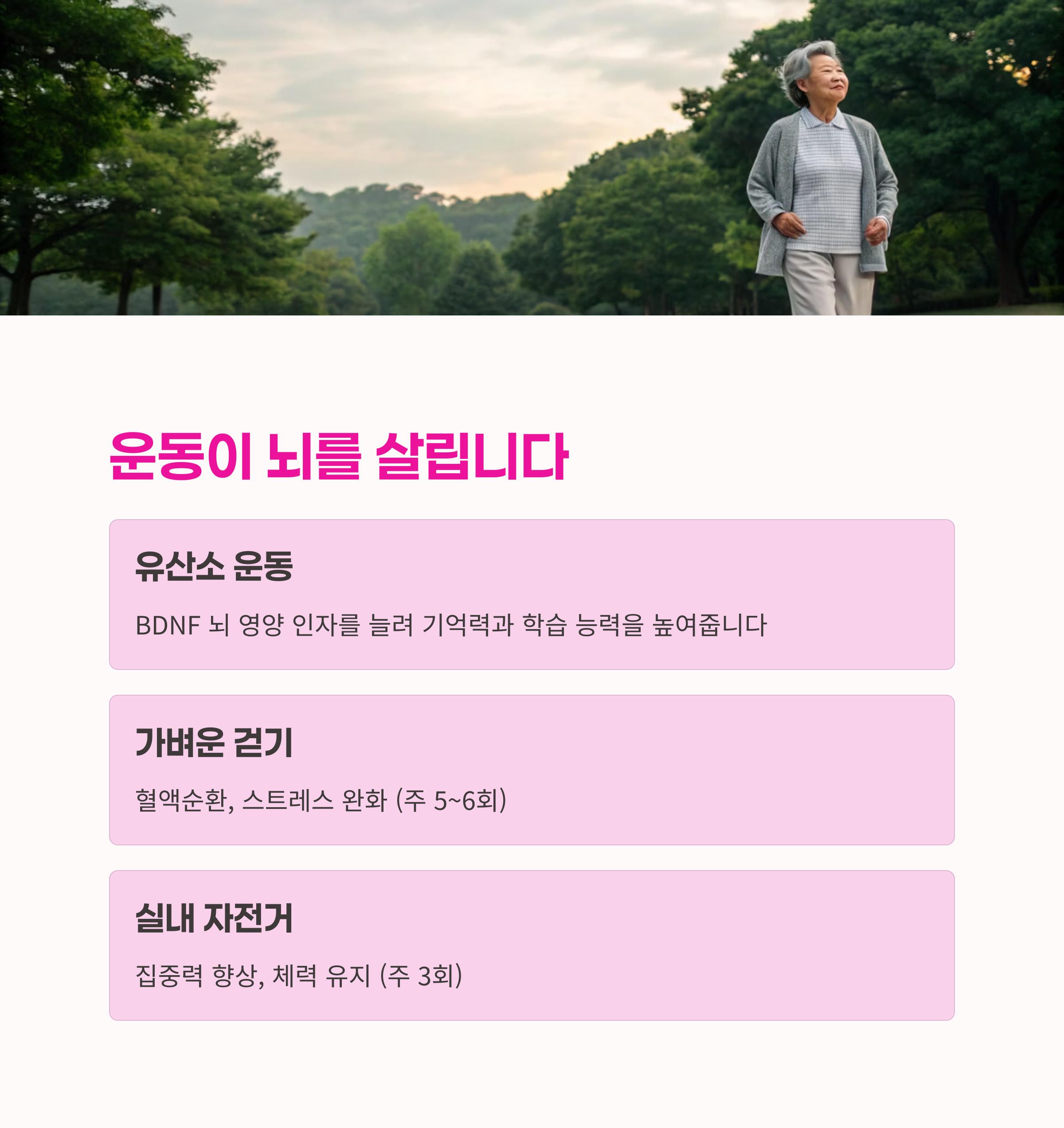 뇌 자극 루틴,