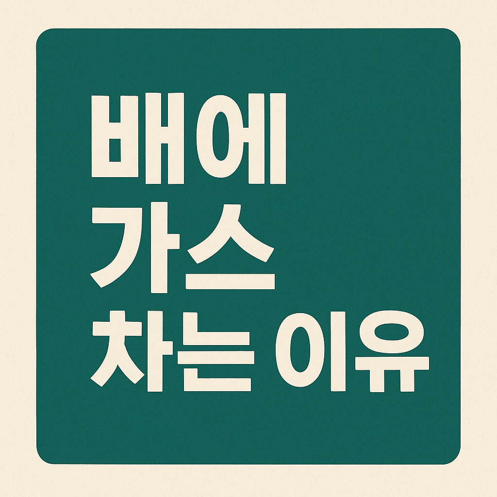 배에 가스 차는 이유