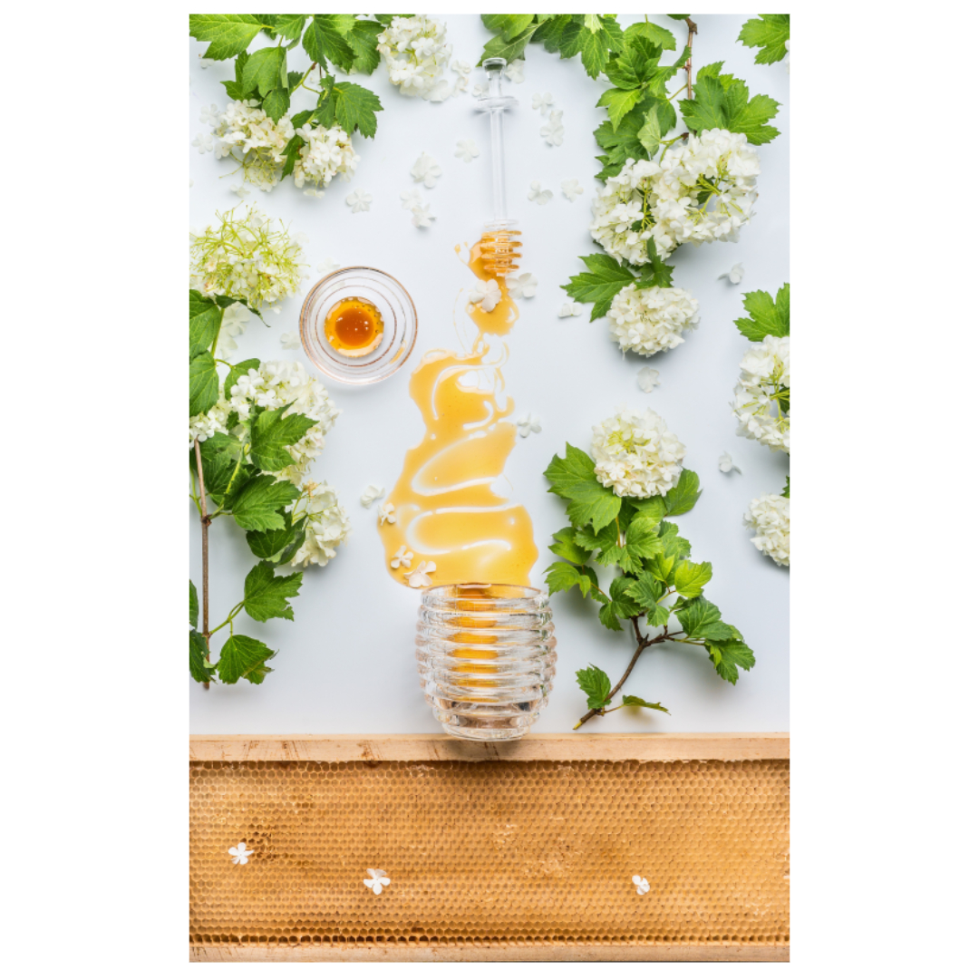 프로폴리스와 관련된 사진입니다.