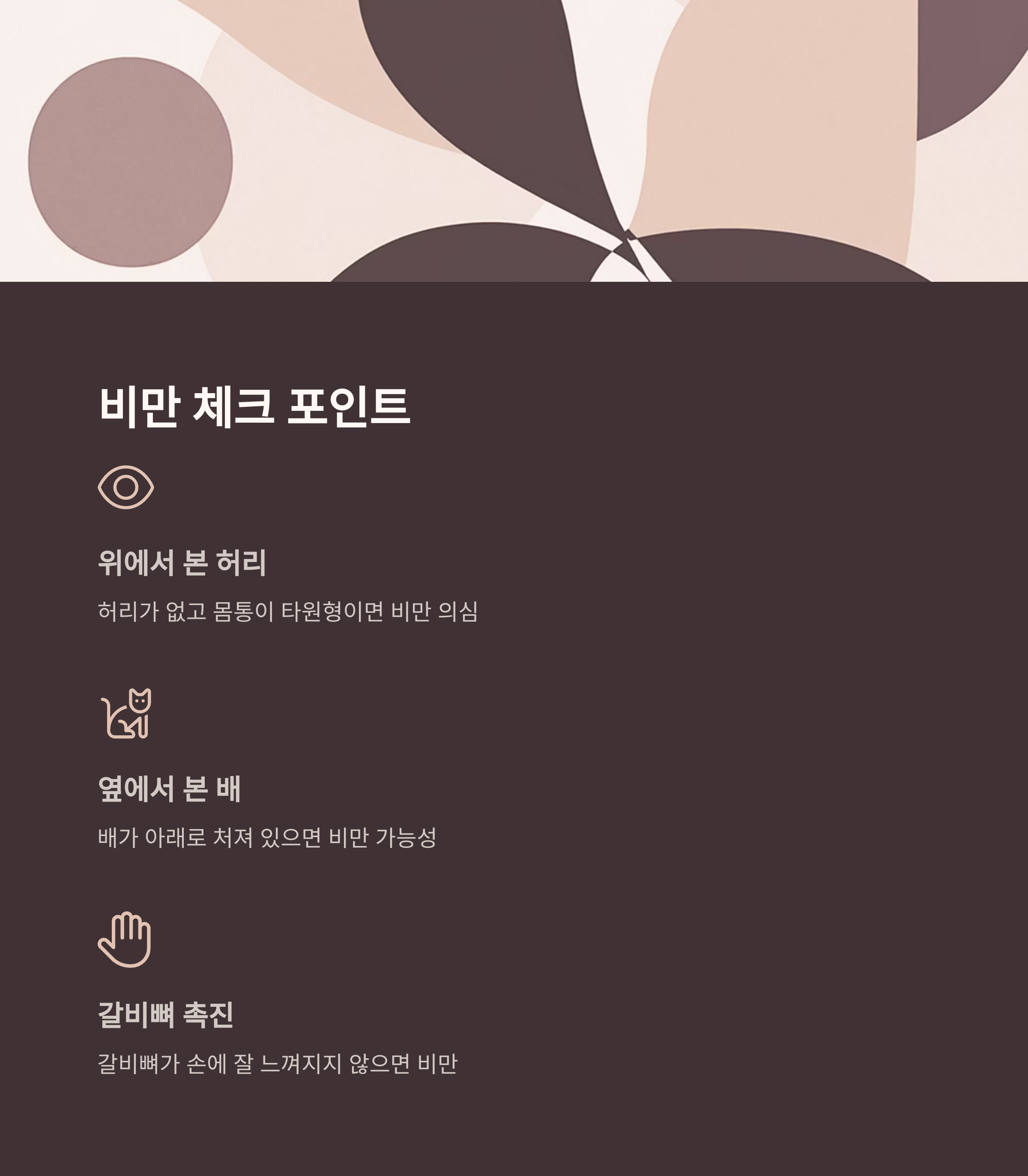 비만 체크 포인트