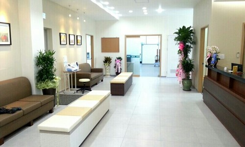 고양시 삼송2동 정형외과 유명하고 잘하는 곳 추천 TOP 5