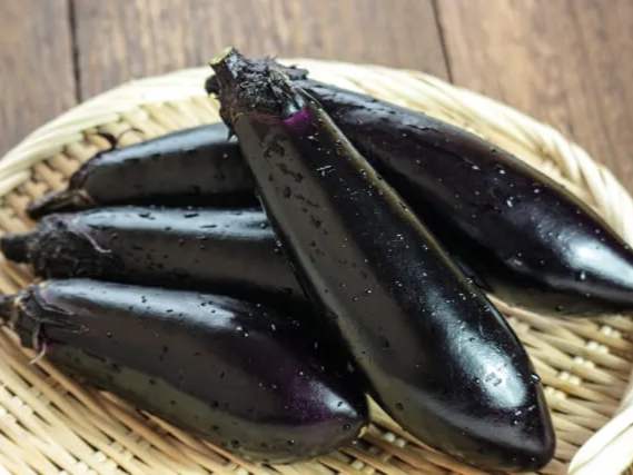 가지의 효능