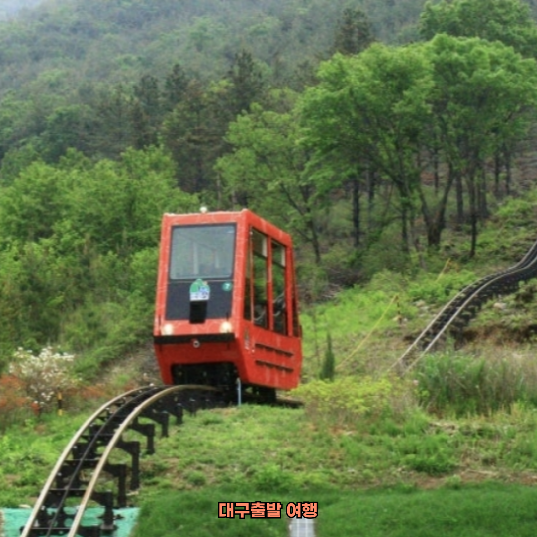 대구출발문경여행