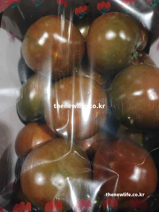 흑토마토 효능 영양성분 라이코펜