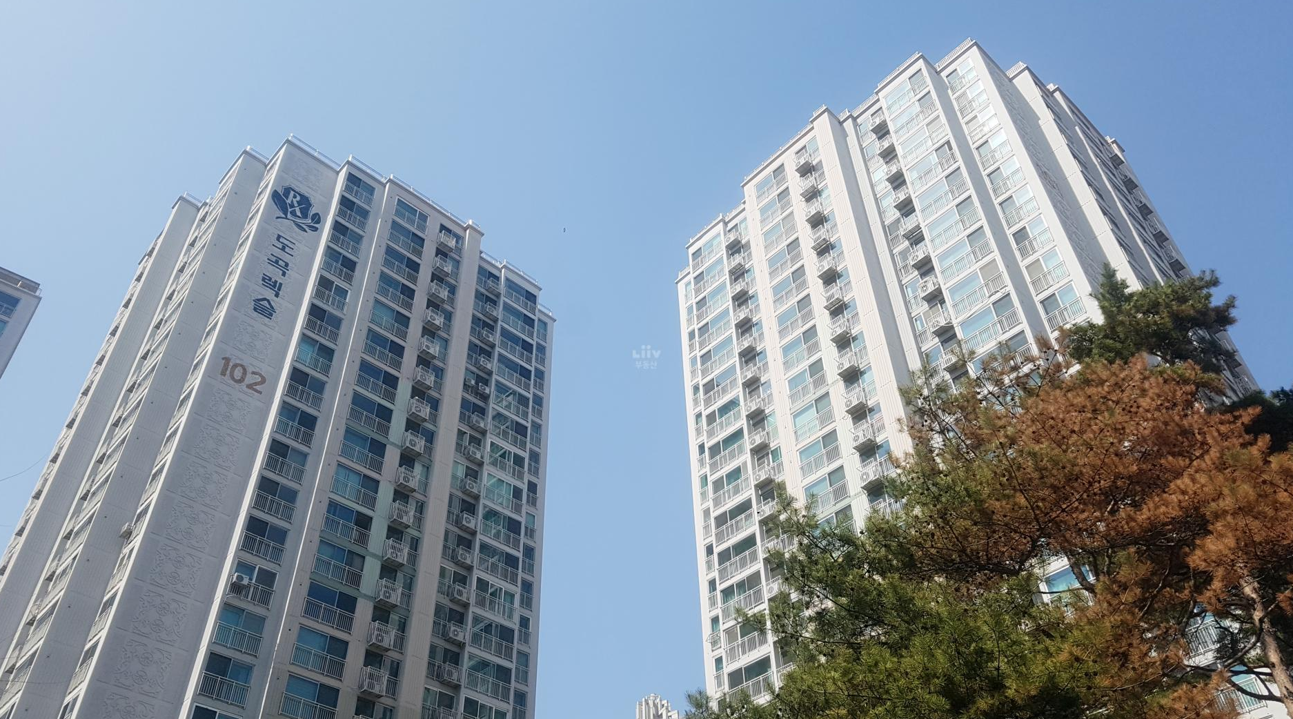 도곡렉슬