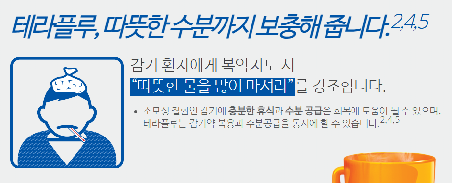 테라플루 복용법