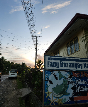 릴라 고래상어 투어 입구