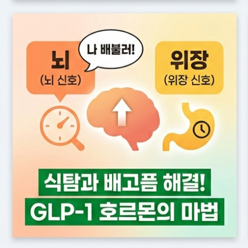 위고비 과학적 원리