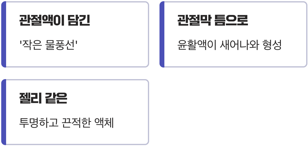 물혹의 정체, 관절액이 담긴 '작은 풍선'