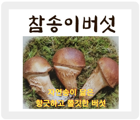 재배 농가의 참송이버섯 요리, 먹는 법, 그리고 보관 방법