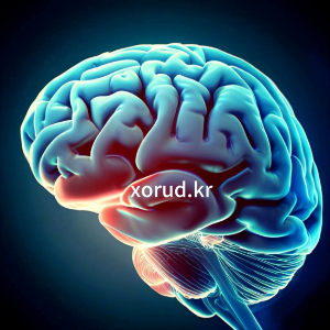 뇌혈관-질환