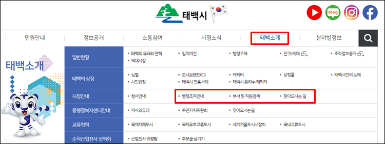 태백시청-홈페이지