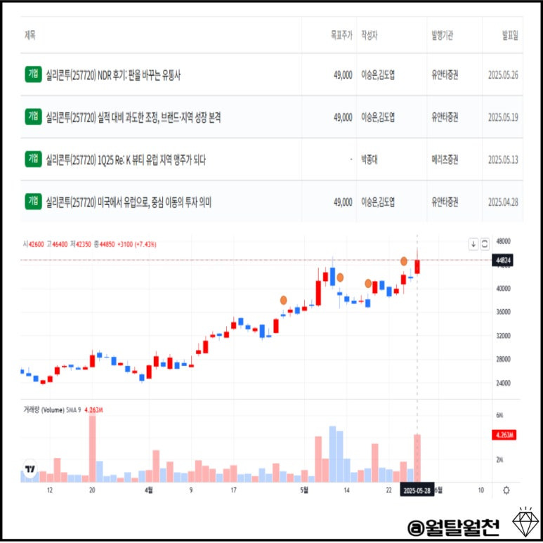 실리콘투 리포트