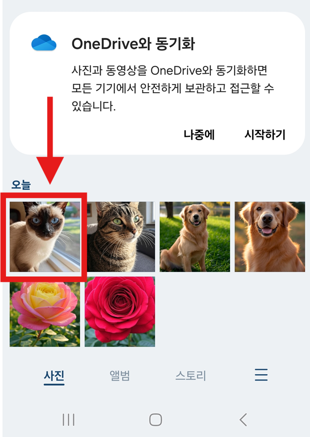 방법 2: 보내고 싶은 사진 하나를 길게 눌러보기