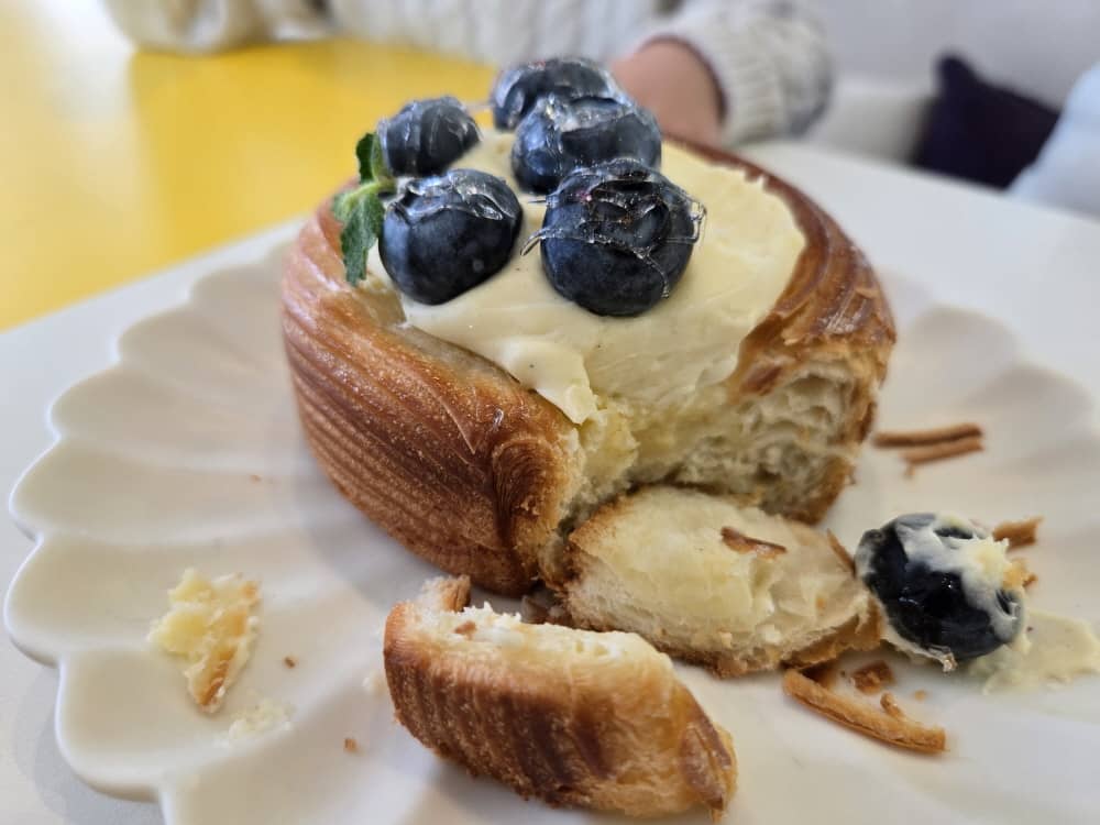 송도 웁스어데이지