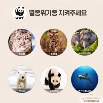 멸종 위기 동물 증가 원인과 환경 문제 분석_9