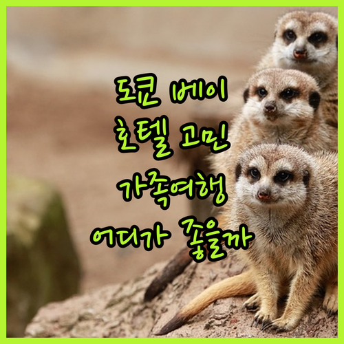 도쿄 베이 호텔 고민 끝! 가족여행에..