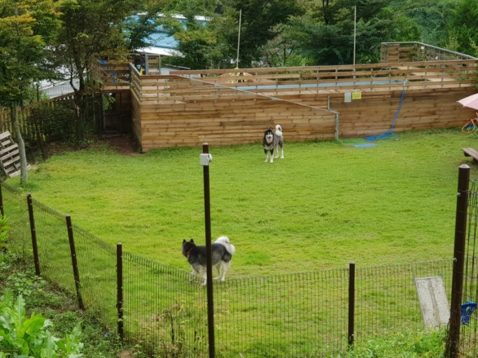 고령 가볼만한곳 베스트10