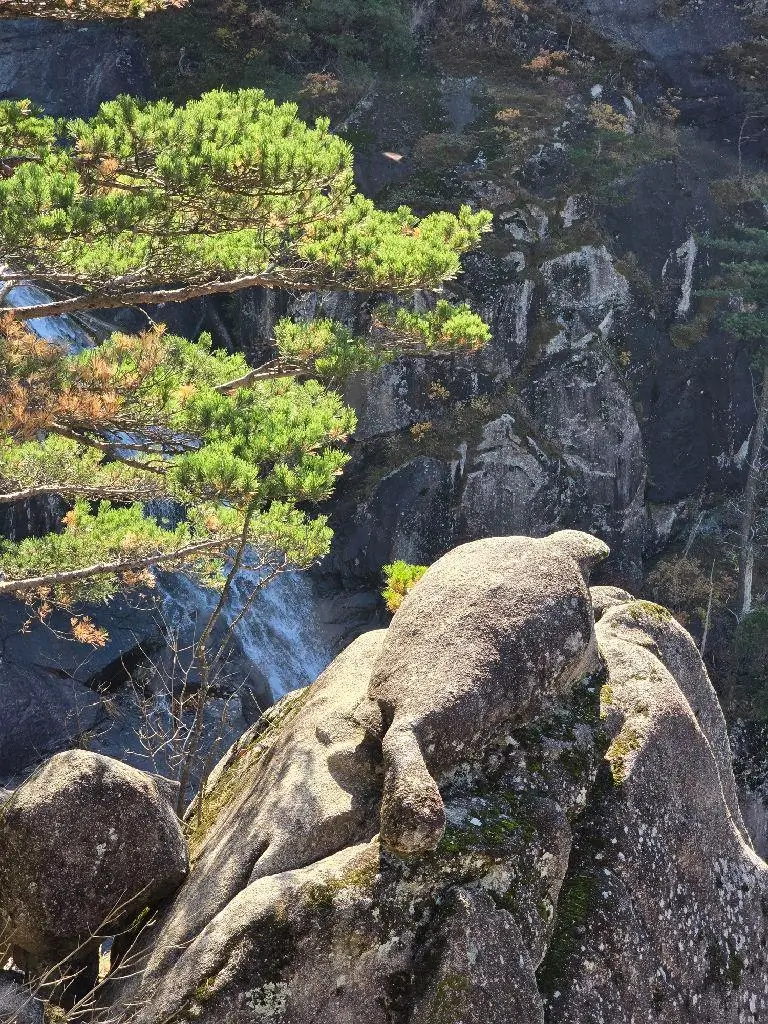 90f80dcb-4648-4122-b253-8f71158e9550