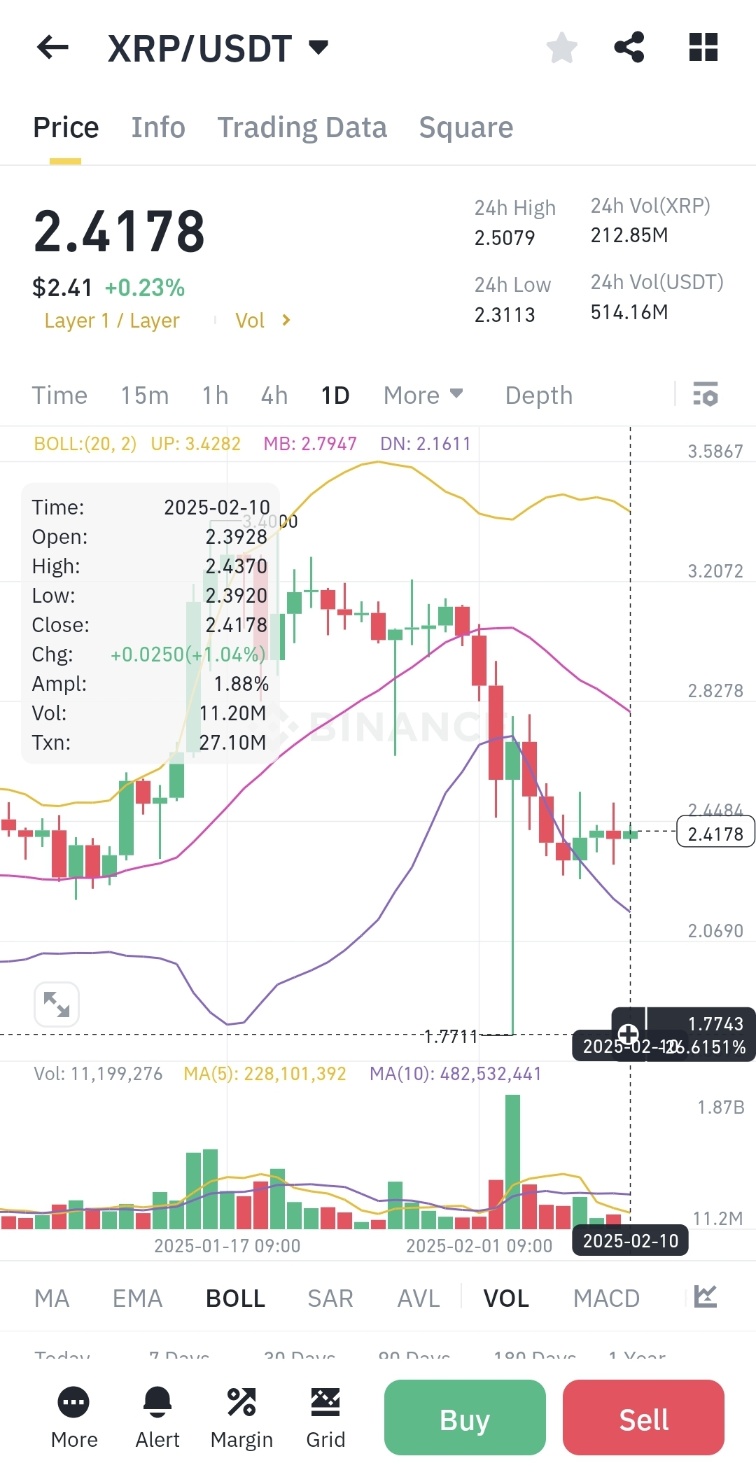 엑스알피시세 (리플시세)