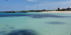 2024년 제주도 해수욕장 BEST 12