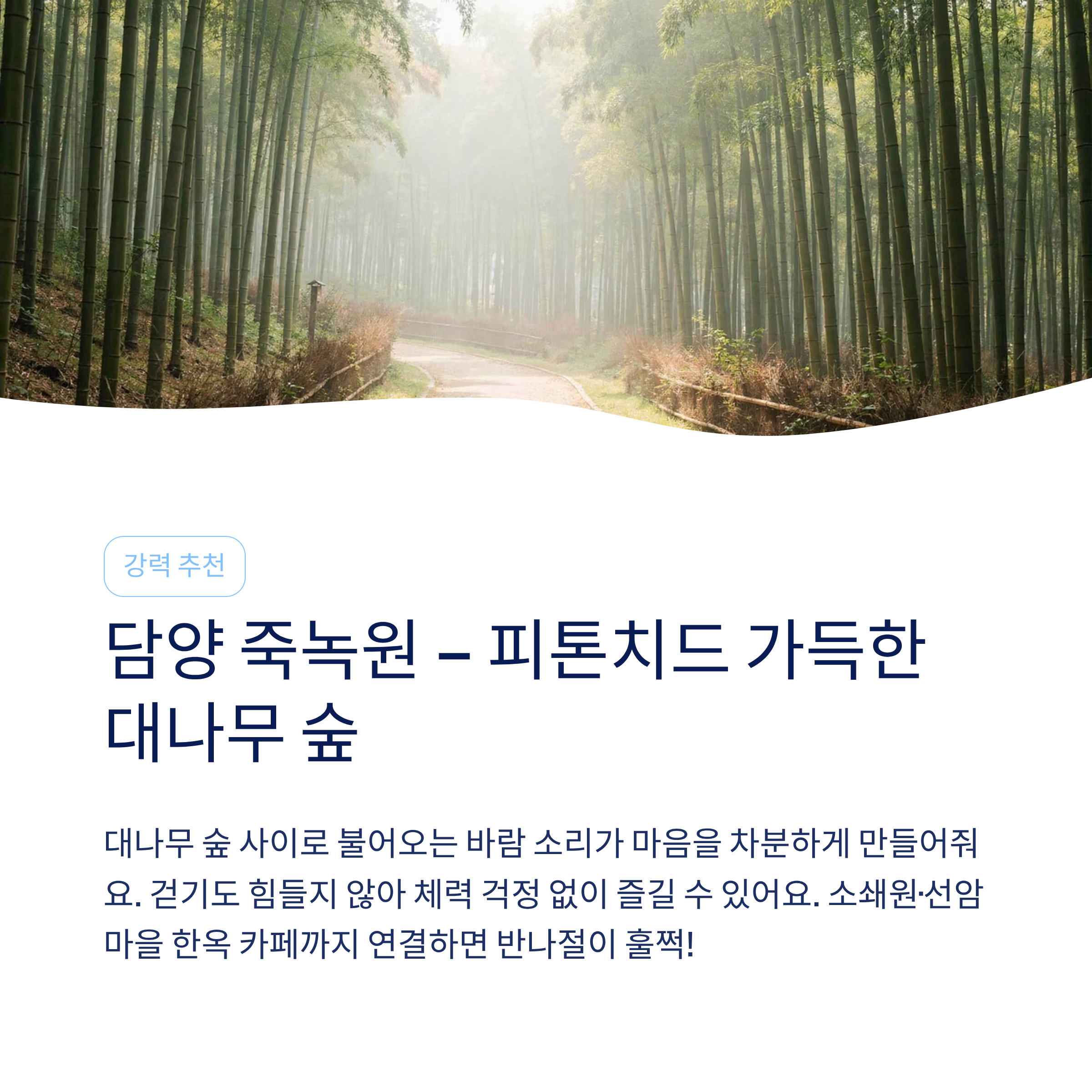 봄 국내 여행지 추천 – 40·50대가 진짜 좋아하는 가볼만한곳 총정리
