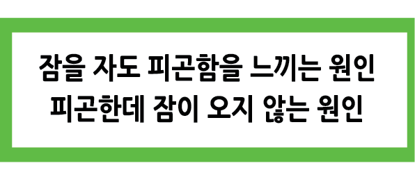 Alt 속성 문제 해결 설명 이미지