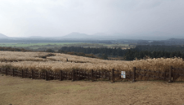 백록샘-예약사이트