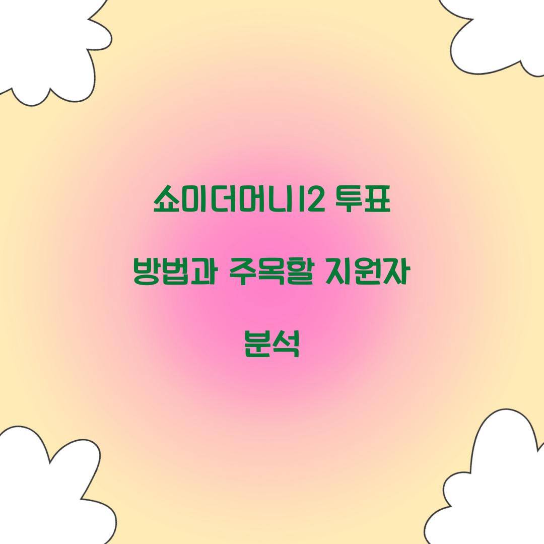 쇼미더머니12 투표