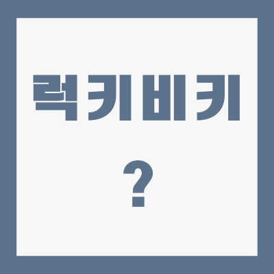 럭키비키-뜻