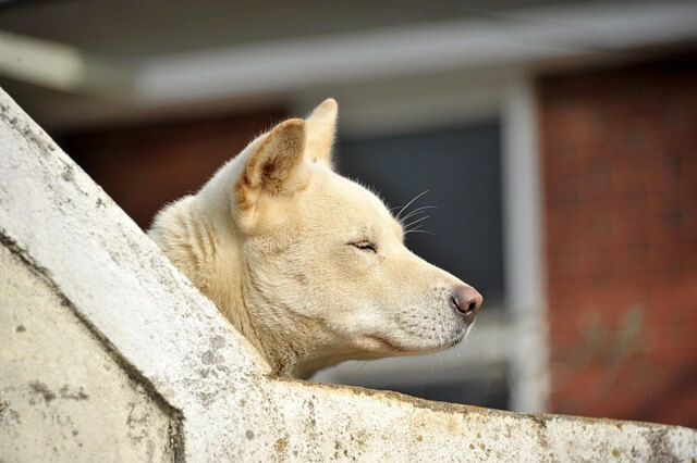 AUTOSAR ComStack을 통한 차량 네트워크 최적화