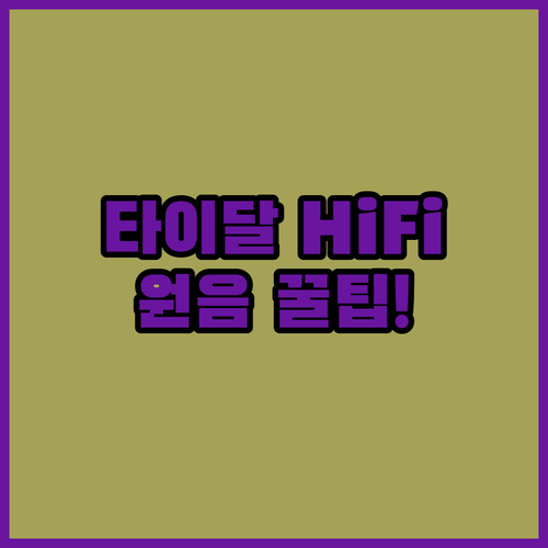 타이달 HiFi Plus, 원음 그대