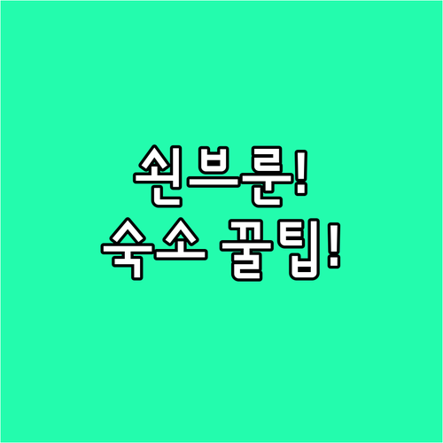 비엔나 쇤브룬 궁전 근처 숙소 추천 ..