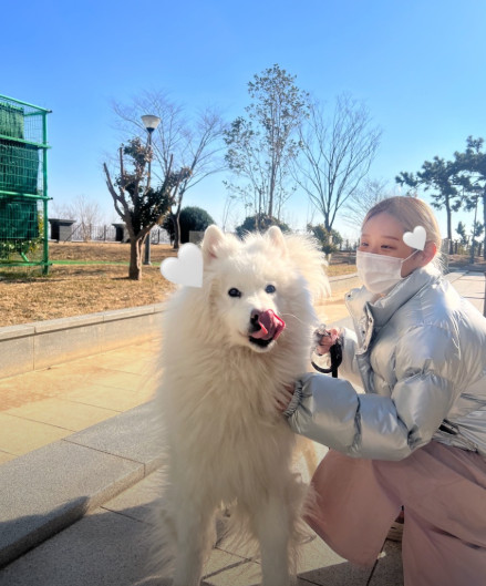 생방송투데이 오늘도 달린다 청년사장 &amp;#39;대형견 출장 목욕&amp;#39; 정보 및 예약