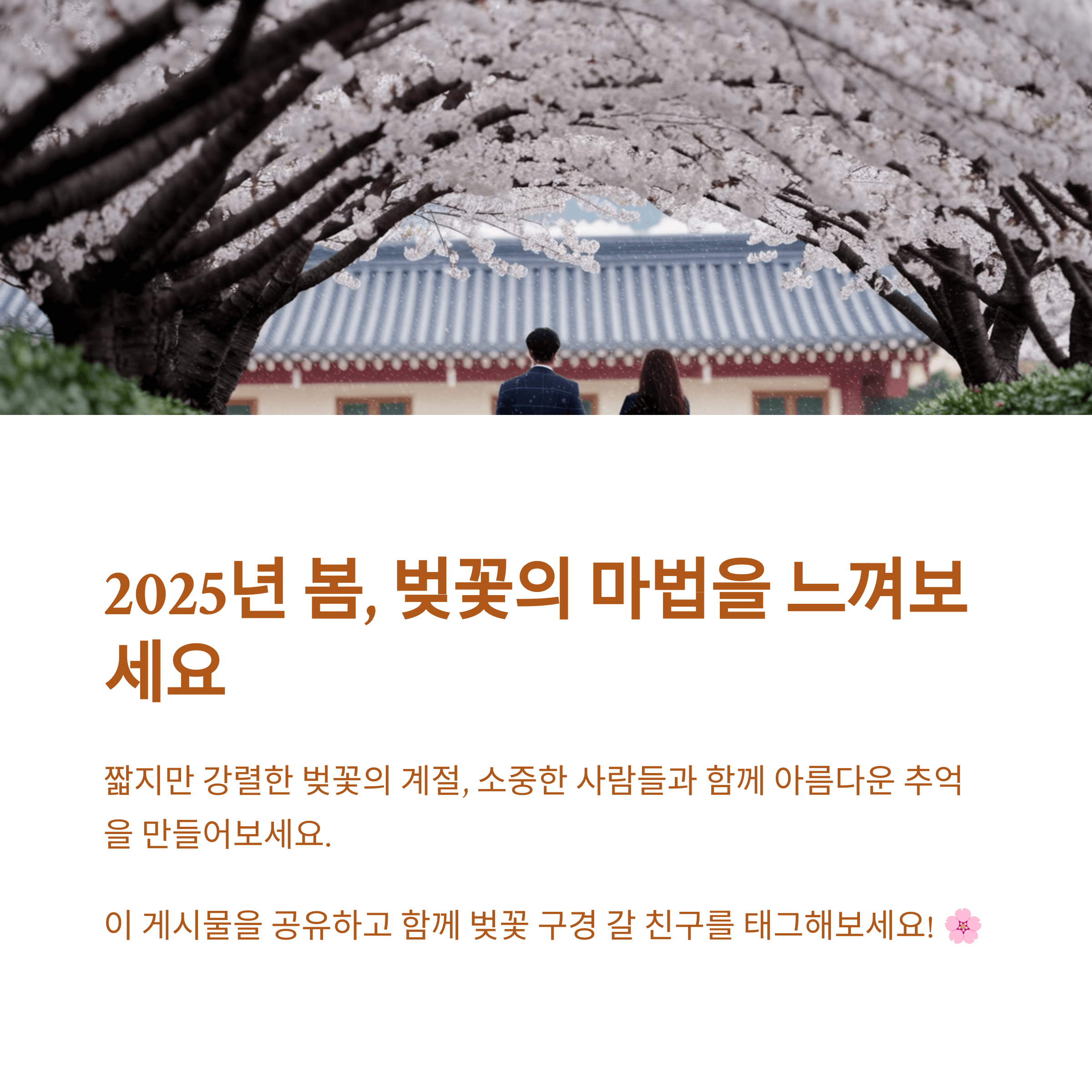 2025 봄 꽃 개화