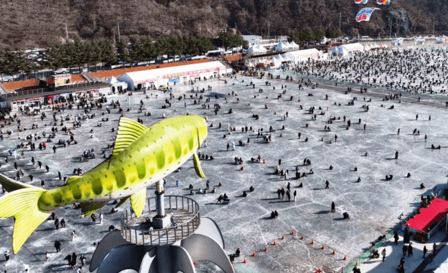 화천 산천어축제 현장