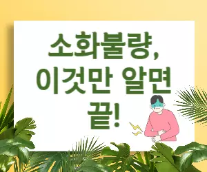 소화불량 해결 가이드: 속 편한 세상을 위한 안내서