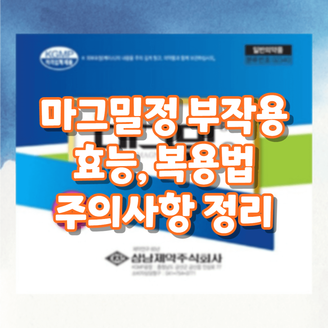 마그밀정 부작용