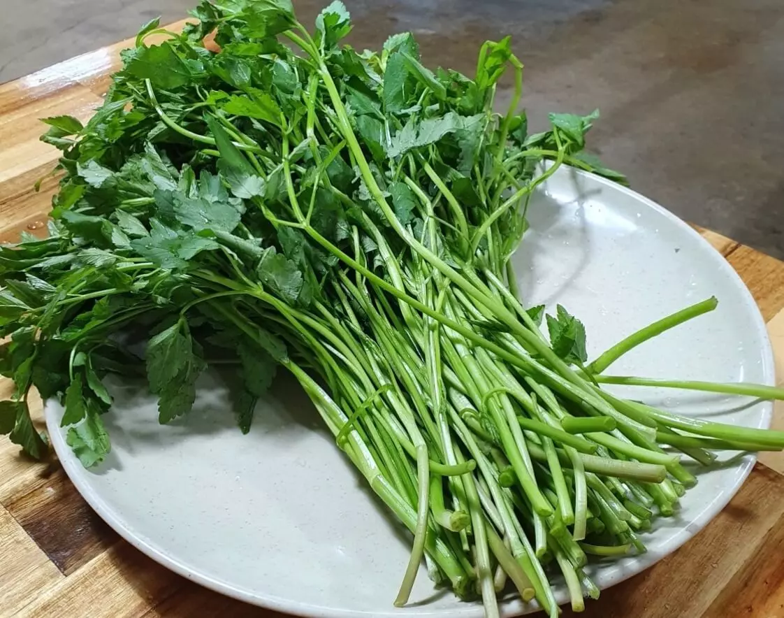 생방송-오늘-저녁-미나리-삽겹살-정보-안내