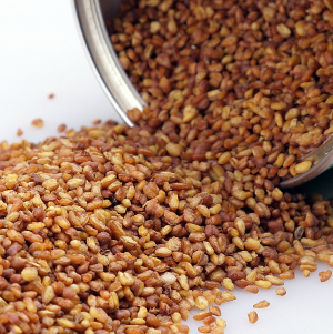 메밀차 효능 부작용 먹는 방법