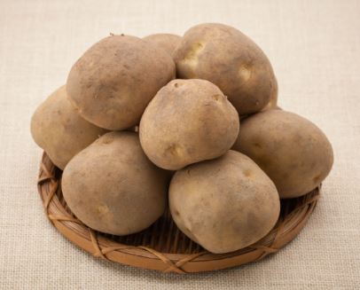 설사에 좋은 음식