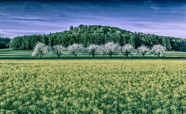 선교란 무엇인가 신앙 실천과 세계 선교의 본질적 의미_5