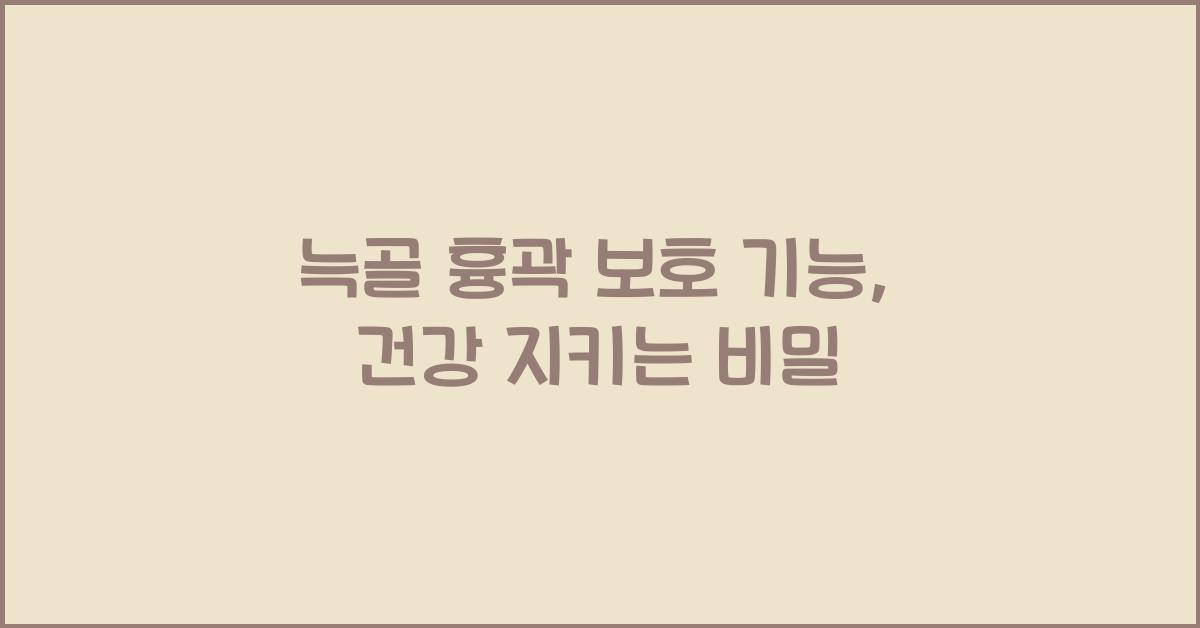 늑골 흉곽 보호 기능