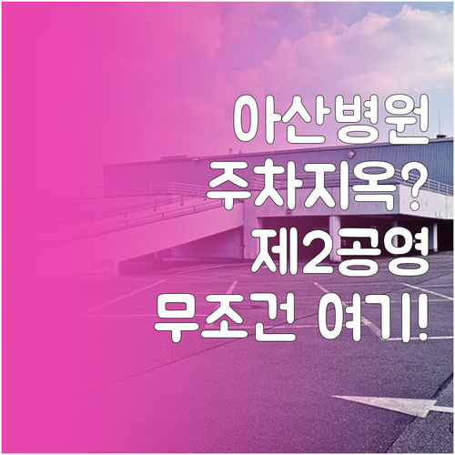 아산병원 방문객을 위한 잠실나루역 신..