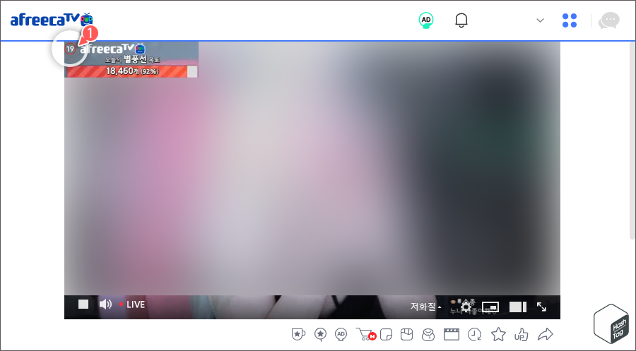 19세 연령제한 로고