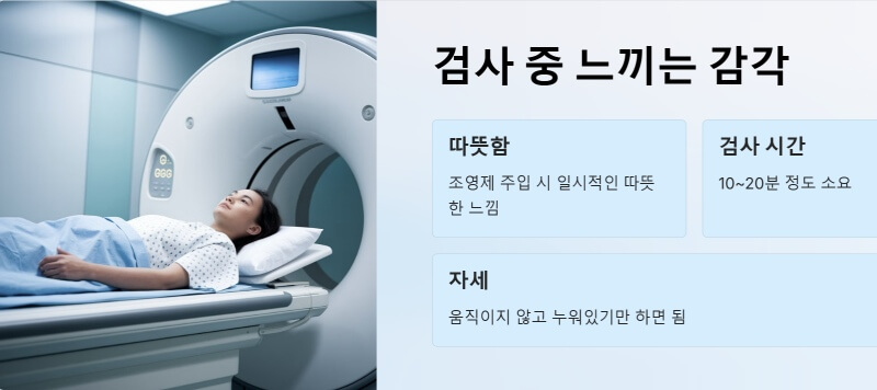 검사 중 느끼는 감각 ppt이미지
